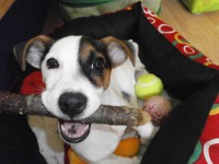 /album/fotogalerie/pc310081-jpg/