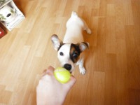 /album/fotogalerie/pc260040-jpg/