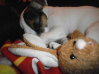 /album/fotogalerie/pc290130-jpg/