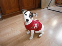 /album/fotogalerie/pc310084-jpg/