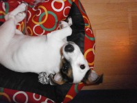 /album/fotogalerie/pc280112-jpg/