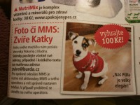 /album/fotogalerie/p1220154-jpg1/